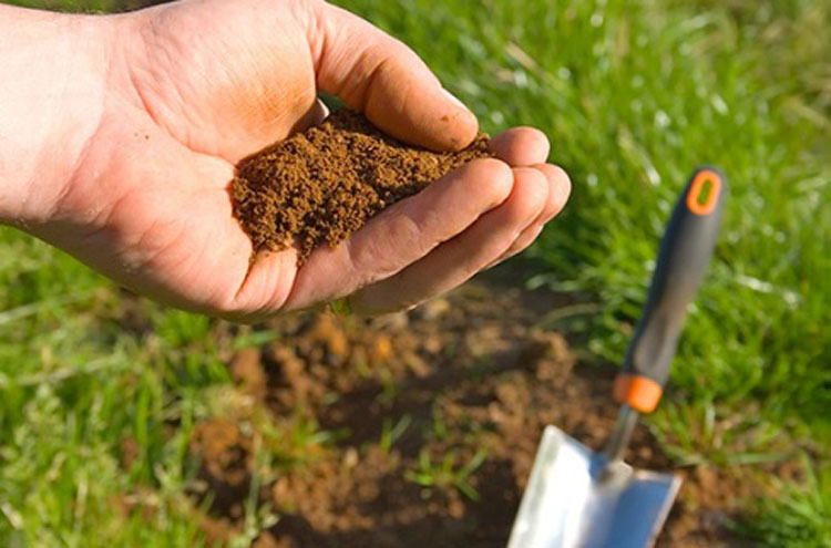 آزمایش خاک به بهترین شکل - کود کشاورزی - کود بیولوژیک - کود زیستی - کود ارگانیک - ۰۲۱۹۱۳۰۷۸۰۸ - ٠٩١٢٨٣٨١٨۴٢ - ۰۲۱۹۱۳۰۷۸۱۸ - رویان تیسان