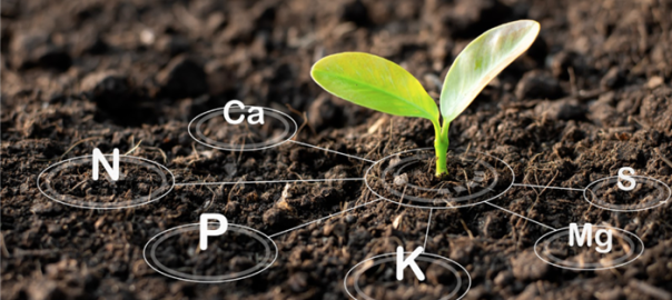 تفاوت بین محرک های زیستی و کودهای زیستی - کود کشاورزی - قارچ کش بیولوژیک - کود بیولوژیک - قارچ کش زیستی